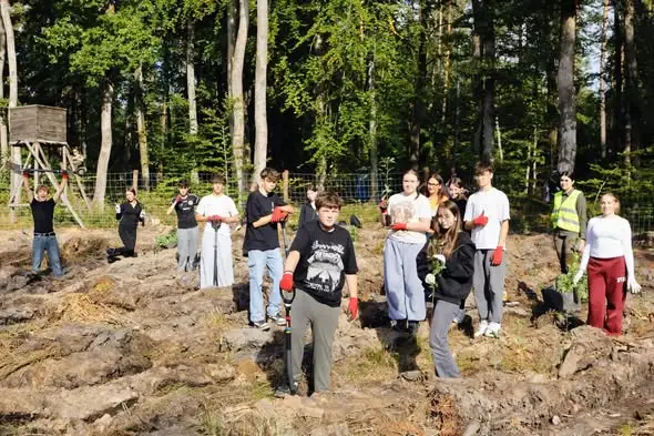 238 uczniów z regionu Tychowa posadziło nowe dęby w lasach zachodniopomorskich